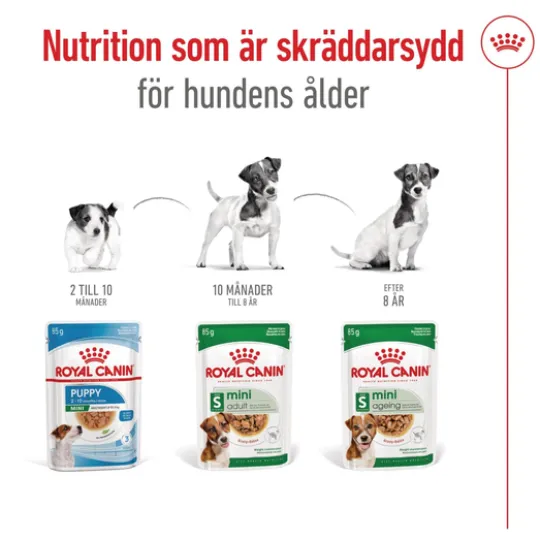 Royal Canin Mini Ageing Gravy Våtfoder för Hund 1,02 kg