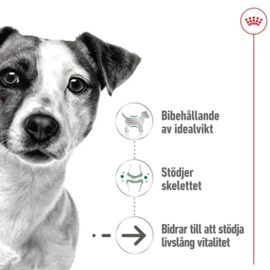 Royal Canin Mini Ageing Gravy Våtfoder för Hund 1,02 kg