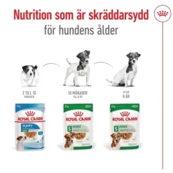 Royal Canin Mini Ageing Gravy Våtfoder för Hund 1,02 kg