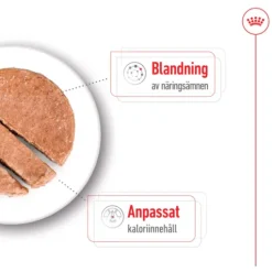 Royal Canin Mini Ageing Loaf Våtfoder för Hund 2,34 kg