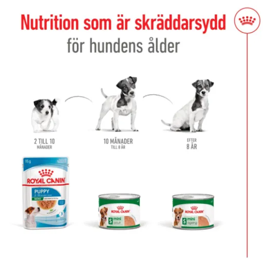 Royal Canin Mini Ageing Loaf Våtfoder för Hund 2,34 kg