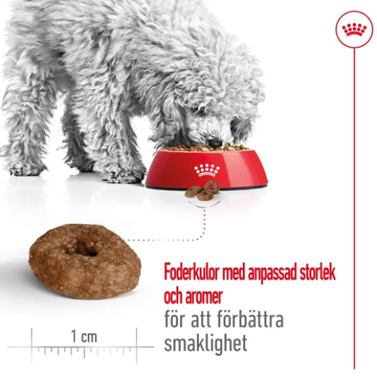 Royal Canin Mini Ageing 12+ Torrfoder för Hund 3,5 kg