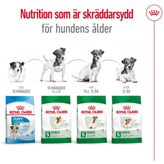 Royal Canin Mini Ageing 12+ Torrfoder för Hund 3,5 kg