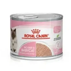 Royal Canin Mother & Babycat Mousse Våtfoder för Katt & Kattunge 2,34 kg