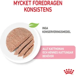 Royal Canin Mother & Babycat Mousse Våtfoder för Katt & Kattunge 2,34 kg