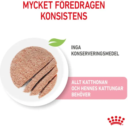 Royal Canin Mother & Babycat Mousse Våtfoder för Katt & Kattunge 2,34 kg