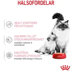 Royal Canin Mother & Babycat Mousse Våtfoder för Katt & Kattunge 2,34 kg