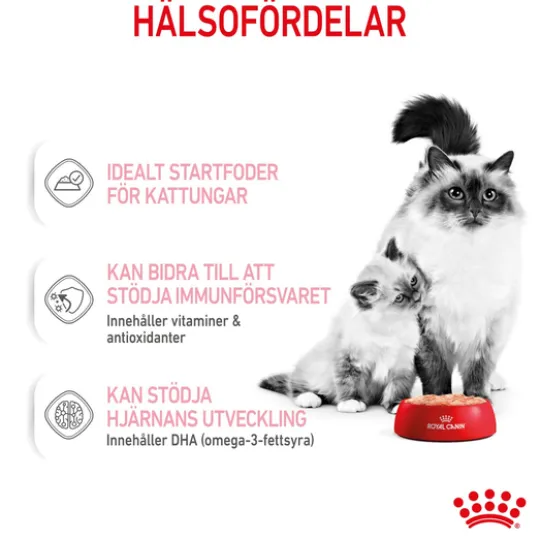 Royal Canin Mother & Babycat Mousse Våtfoder för Katt & Kattunge 2,34 kg