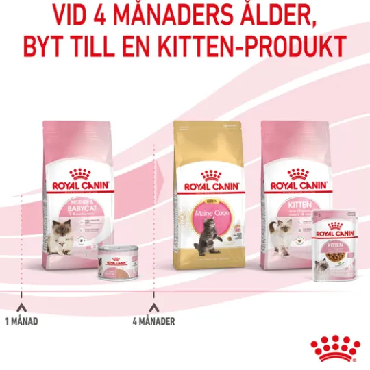 Royal Canin Mother & Babycat Mousse Våtfoder för Katt & Kattunge 2,34 kg