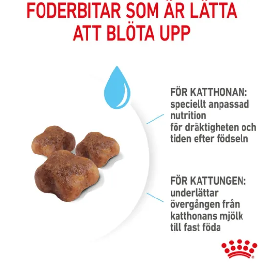Royal Canin Mother & Babycat Torrfoder för Katt & Kattunge 2 kg