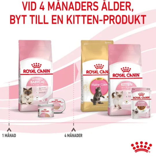 Royal Canin Mother & Babycat Torrfoder för Katt & Kattunge 2 kg