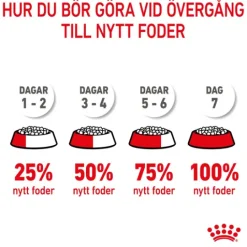 Royal Canin Mother & Babycat Torrfoder för Katt & Kattunge 2 kg