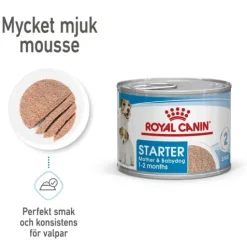 Royal Canin Mother & Babydog Starter Mousse Våtfoder för Hund & Hundvalp 2,34 kg