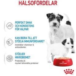 Royal Canin Mother & Babydog Starter Mousse Våtfoder för Hund & Hundvalp 2,34 kg