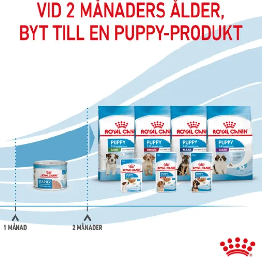 Royal Canin Mother & Babydog Starter Mousse Våtfoder för Hund & Hundvalp 2,34 kg