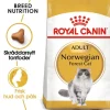 Royal Canin Norwegian Forest Cat Adult Torrfoder för Katt 2 kg