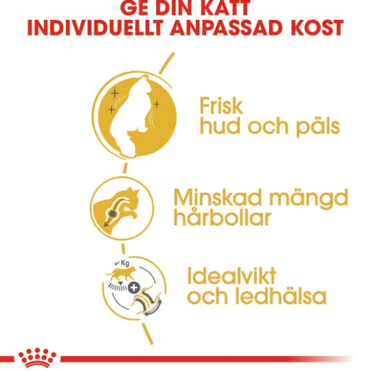 Royal Canin Norwegian Forest Cat Adult Torrfoder för Katt 2 kg