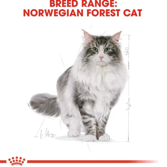 Royal Canin Norwegian Forest Cat Adult Torrfoder för Katt 10 kg