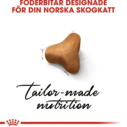 Royal Canin Norwegian Forest Cat Adult Torrfoder för Katt 10 kg