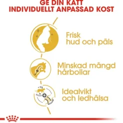 Royal Canin Norwegian Forest Cat Adult Torrfoder för Katt 10 kg