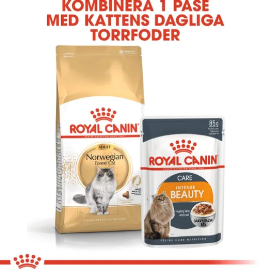 Royal Canin Norwegian Forest Cat Adult Torrfoder för Katt 10 kg