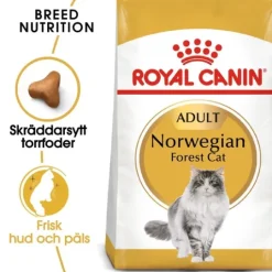 Royal Canin Norwegian Forest Cat Adult Torrfoder för Katt 10 kg