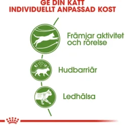 Royal Canin Outdoor Adult Torrfoder för Katt 10 kg