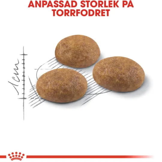 Royal Canin Outdoor Adult Torrfoder för Katt 10 kg