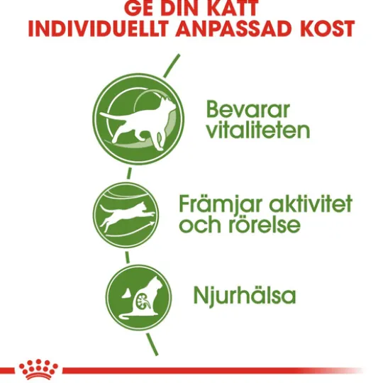 Royal Canin Outdoor 7+ Ageing Torrfoder för Katt 2 kg