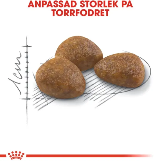 Royal Canin Outdoor 7+ Ageing Torrfoder för Katt 2 kg