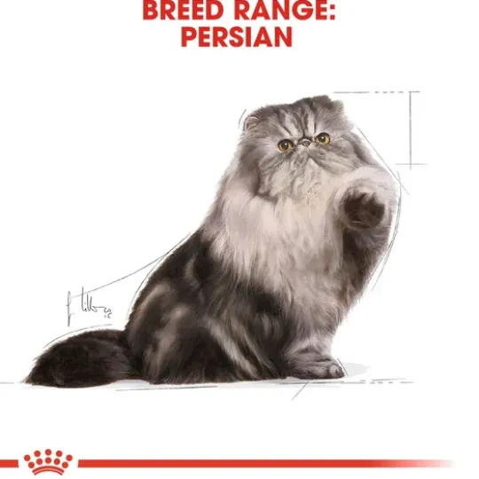 Royal Canin Persian Adult Loaf Våtfoder för Katt 1,02 kg