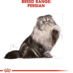 Royal Canin Persian Adult Torrfoder för Katt 2 kg
