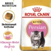 Royal Canin Persian Kitten Torrfoder för Kattunge 2 kg