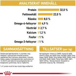 Royal Canin Persian Kitten Torrfoder för Kattunge 2 kg