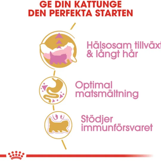 Royal Canin Persian Kitten Torrfoder för Kattunge 2 kg