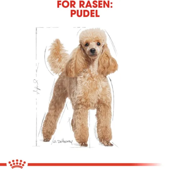 Royal Canin Poodle Adult Torrfoder för Hund 1,5 kg