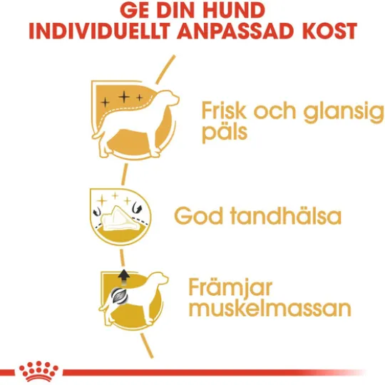 Royal Canin Poodle Adult Torrfoder för Hund 1,5 kg