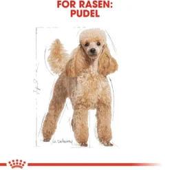 Royal Canin Poodle Adult Torrfoder för Hund 7,5 kg