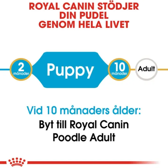 Royal Canin Poodle Puppy Torrfoder för Hundvalp 3 kg