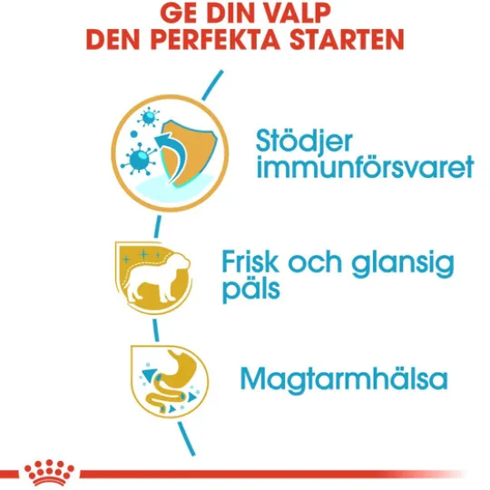 Royal Canin Poodle Puppy Torrfoder för Hundvalp 3 kg