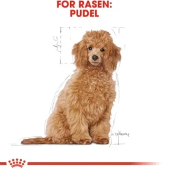 Royal Canin Poodle Puppy Torrfoder för Hundvalp 3 kg