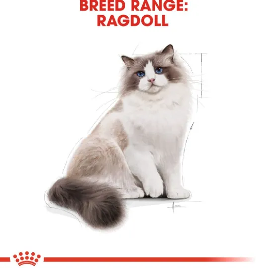 Royal Canin Ragdoll Adult Torrfoder för Katt 10 kg