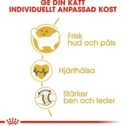 Royal Canin Ragdoll Adult Torrfoder för Katt 10 kg