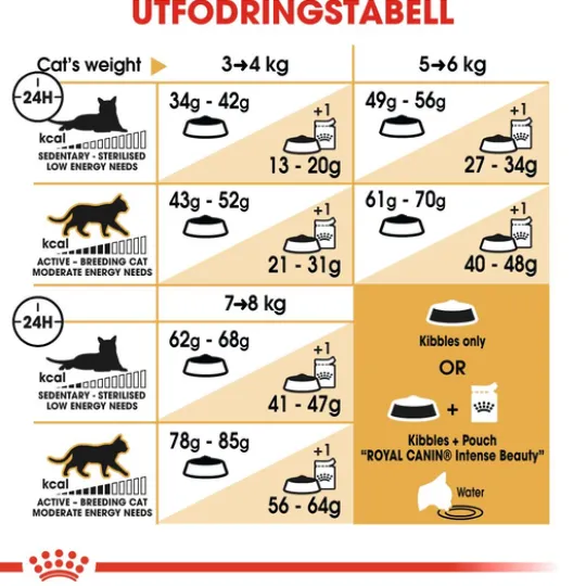 Royal Canin Ragdoll Adult Torrfoder för Katt 10 kg