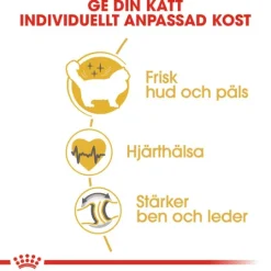 Royal Canin Ragdoll Adult Torrfoder för Katt 2 kg