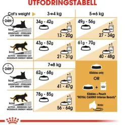 Royal Canin Ragdoll Adult Torrfoder för Katt 2 kg
