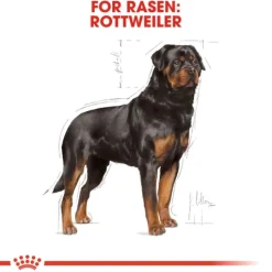 Royal Canin Rottweiler Adult Torrfoder för Hund 12 kg