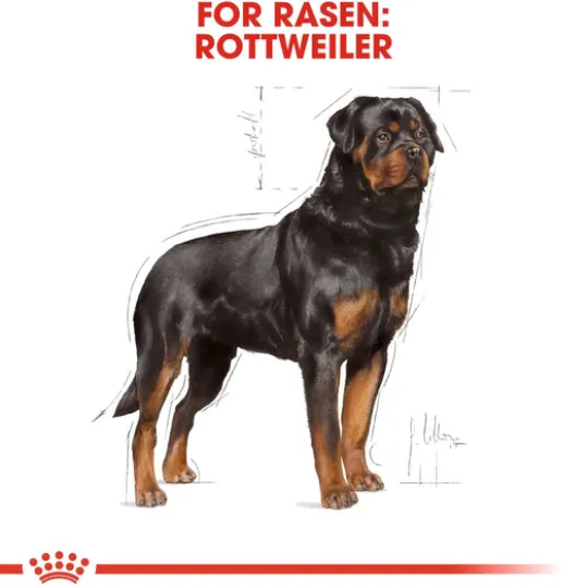 Royal Canin Rottweiler Adult Torrfoder för Hund 12 kg