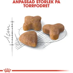 Royal Canin Sensible Adult Torrfoder för Katt 2 kg