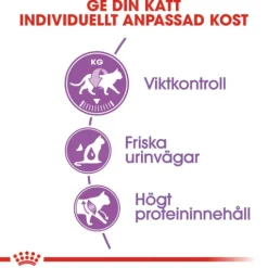 Royal Canin Sterilised Adult Torrfoder för Katt 4 kg